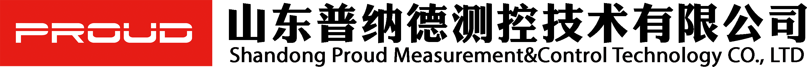 Shandong Punard Measurement and Control Technology Co., Ltd
