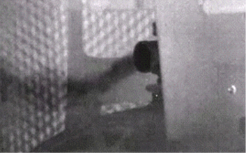 六氟化硫 氨气泄漏检测.png